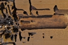 Carpenter Ant Damaged Wood