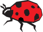 Lady Bug Pest Management